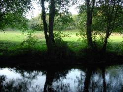 Un remanso do río Umia